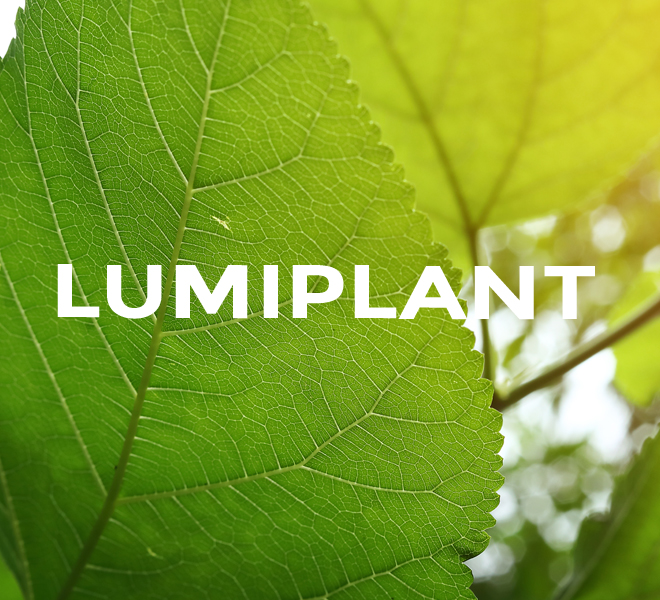 LumiPlant