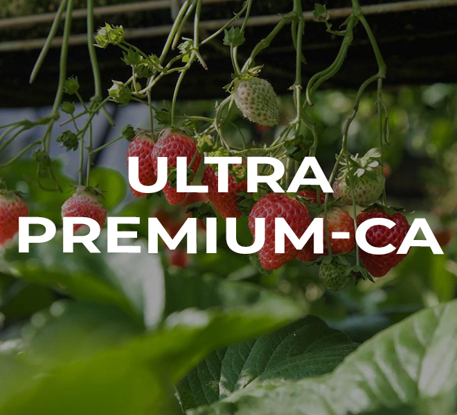 produits-ultra produits-ultra