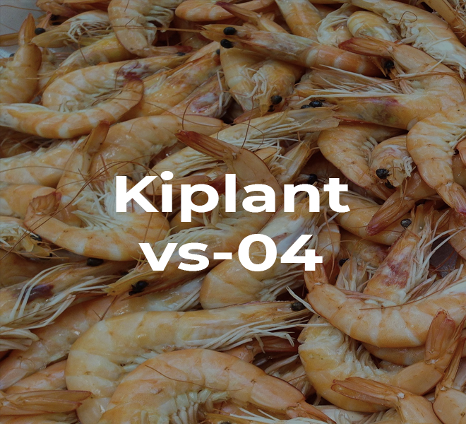 produits-Kiplant-vs-04
