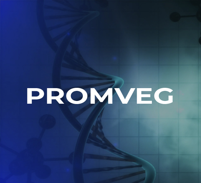 produits-PROMVEG