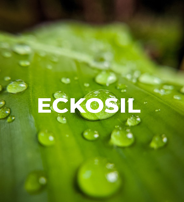 ECKOSIL-2