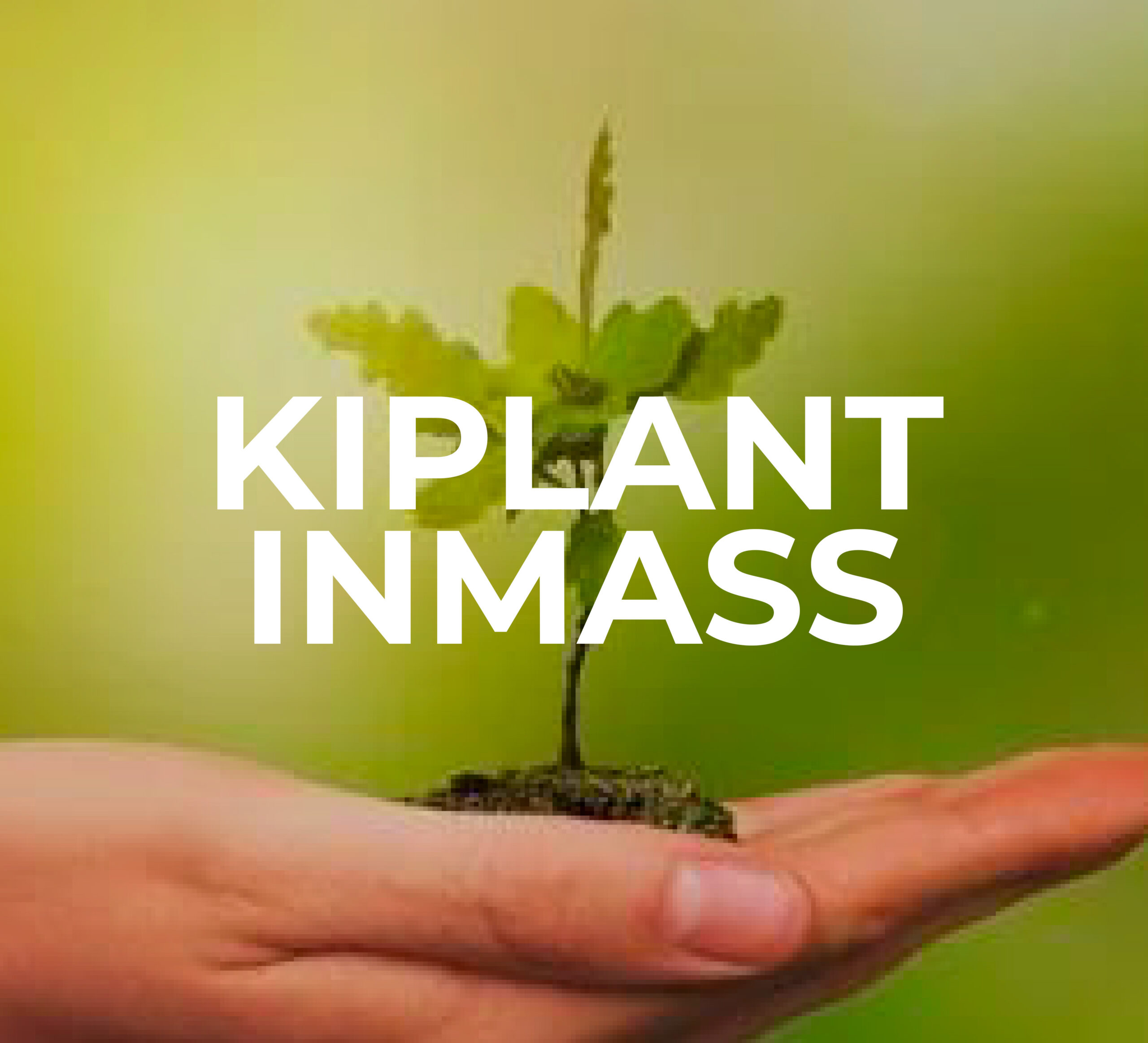 KIPLANTINMASS