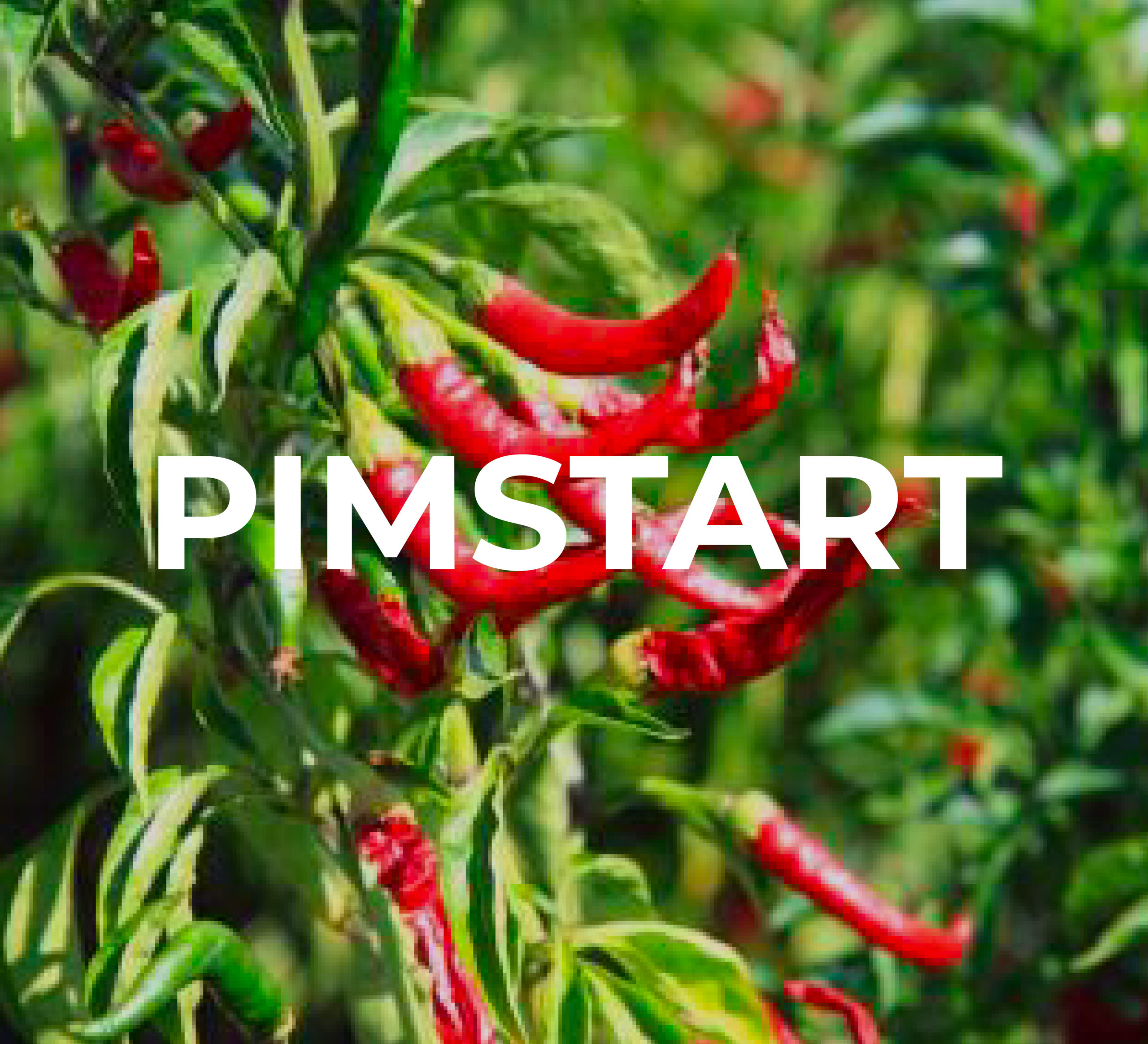 PIMSTART